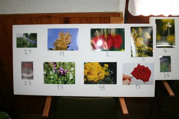 Virág fényképészeti pályázat (2013)